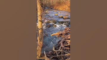 اسمع وارتق للسماء 💙💙💙 ما تيسر من سورة المائدة للقارئ اسلام صبحي#nature #explore @islam_sobhi