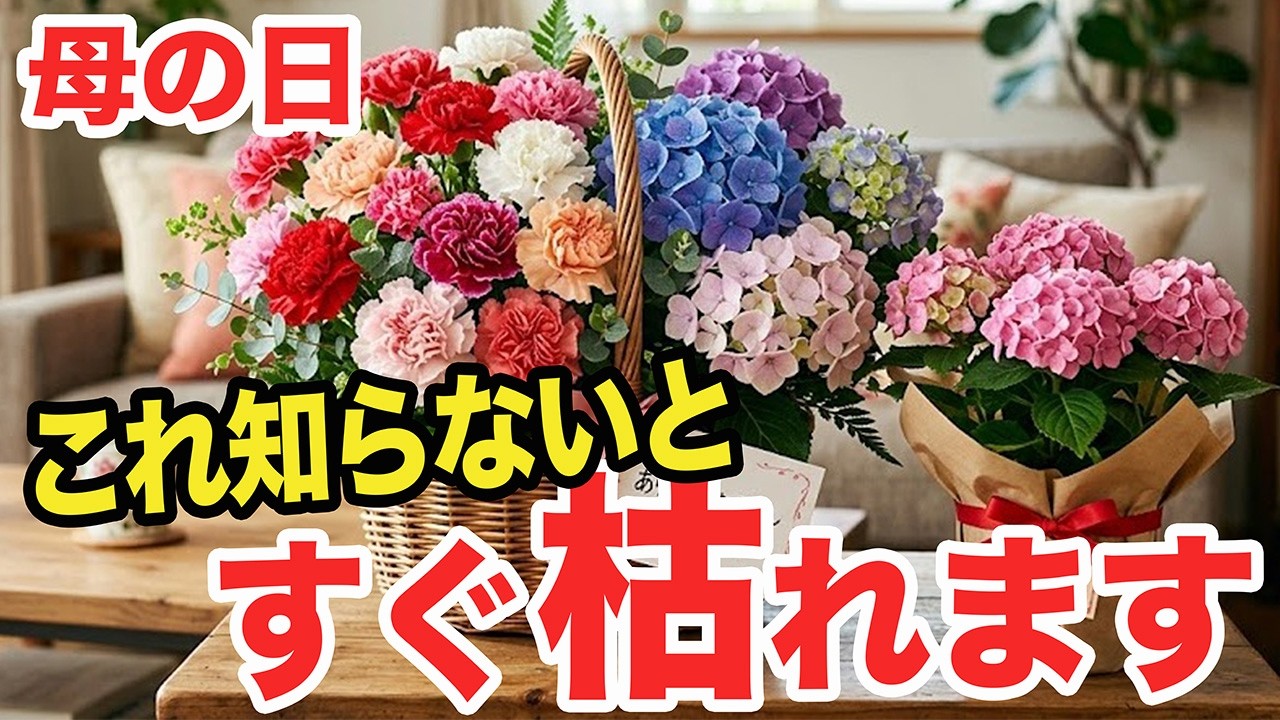 Must-See for Beginners] Tips for Making Mother's Day Flowers Last