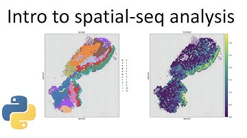 Introduction to spatial sequencing data analysis