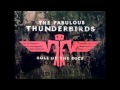 The Fabulous Thunderbirds - Too Many Irons in the Fire (with lyrics)