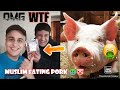 Pork prank on muslim april fool prank