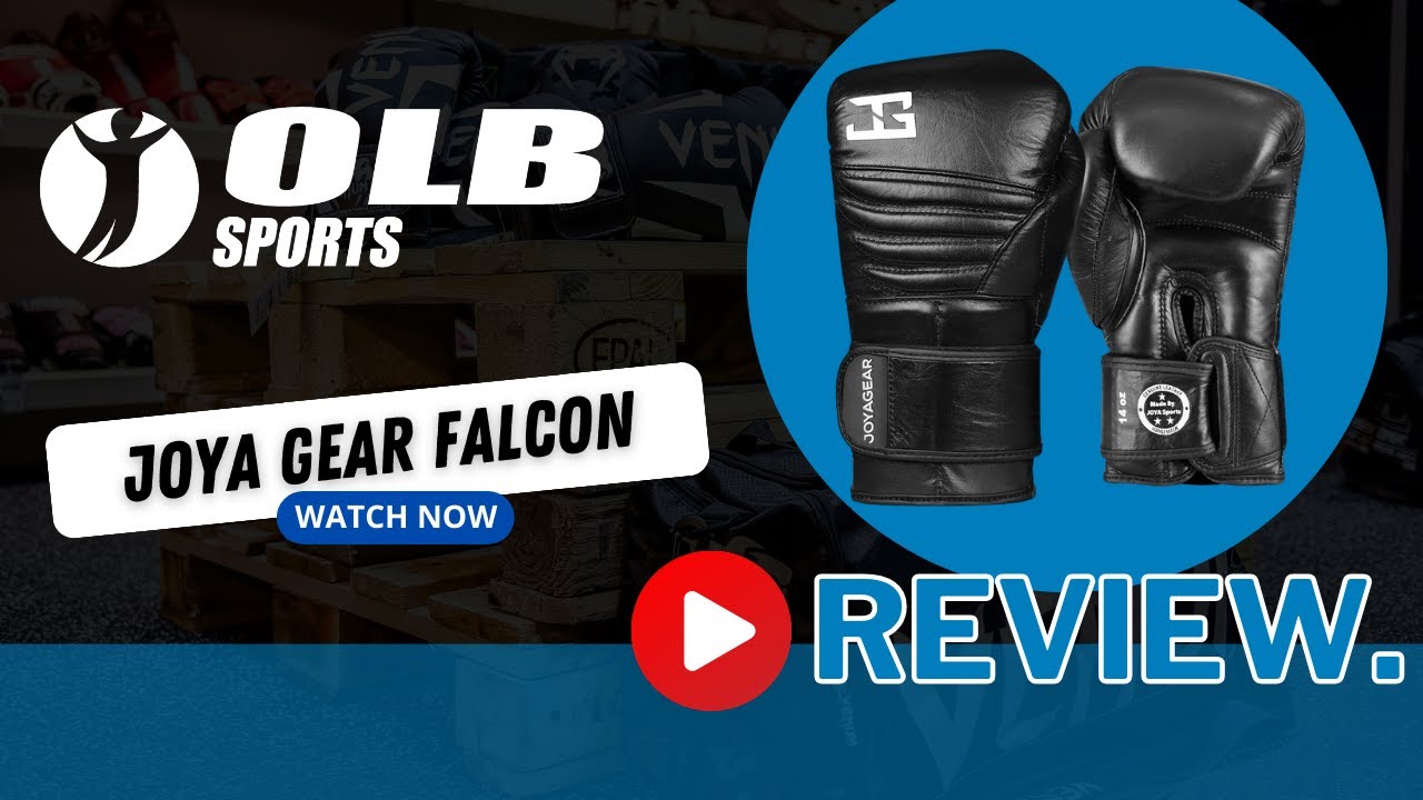 Joyagear Falcon bokshandschoenen review
