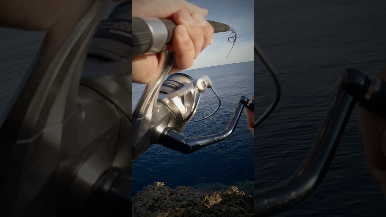 Όταν το ψάρι βγαίνει νικητής της μάχης #shorejigging #fishing #ψάρεμα #fish #jigging #rockfishing