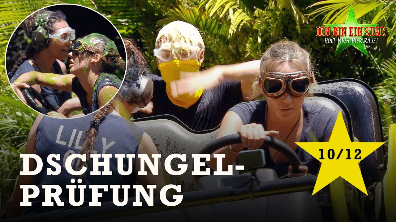 Der größte Preis von Murwillumbah🚕​​🏆​| Dschungelcamp 2025 🐍​