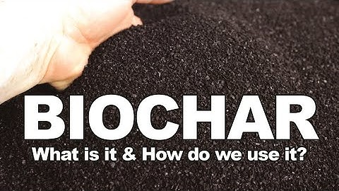 BIOCHAR 10 Reasons Why You Should Use it!