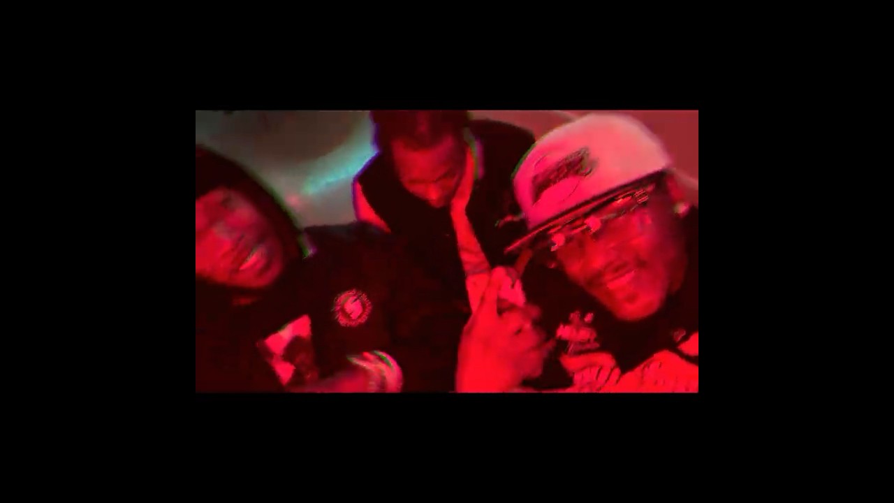 Lion Heart- Flight 811 (Visualizer)