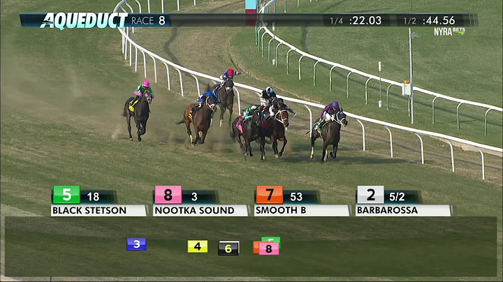 Black Stetson - 2018 - The Bridgetown Stakes