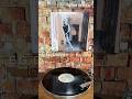 E.G. Daily "Say it Say it" #shorts #80年代洋楽 #80smusic #recordcollection #洋楽 #vinyls