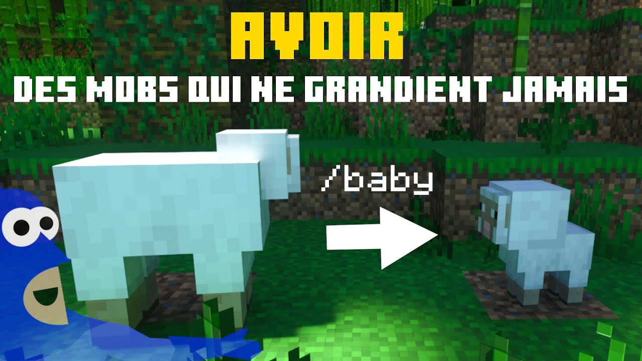 Comment Faire éclore Un Bébé Sur Minecraft
