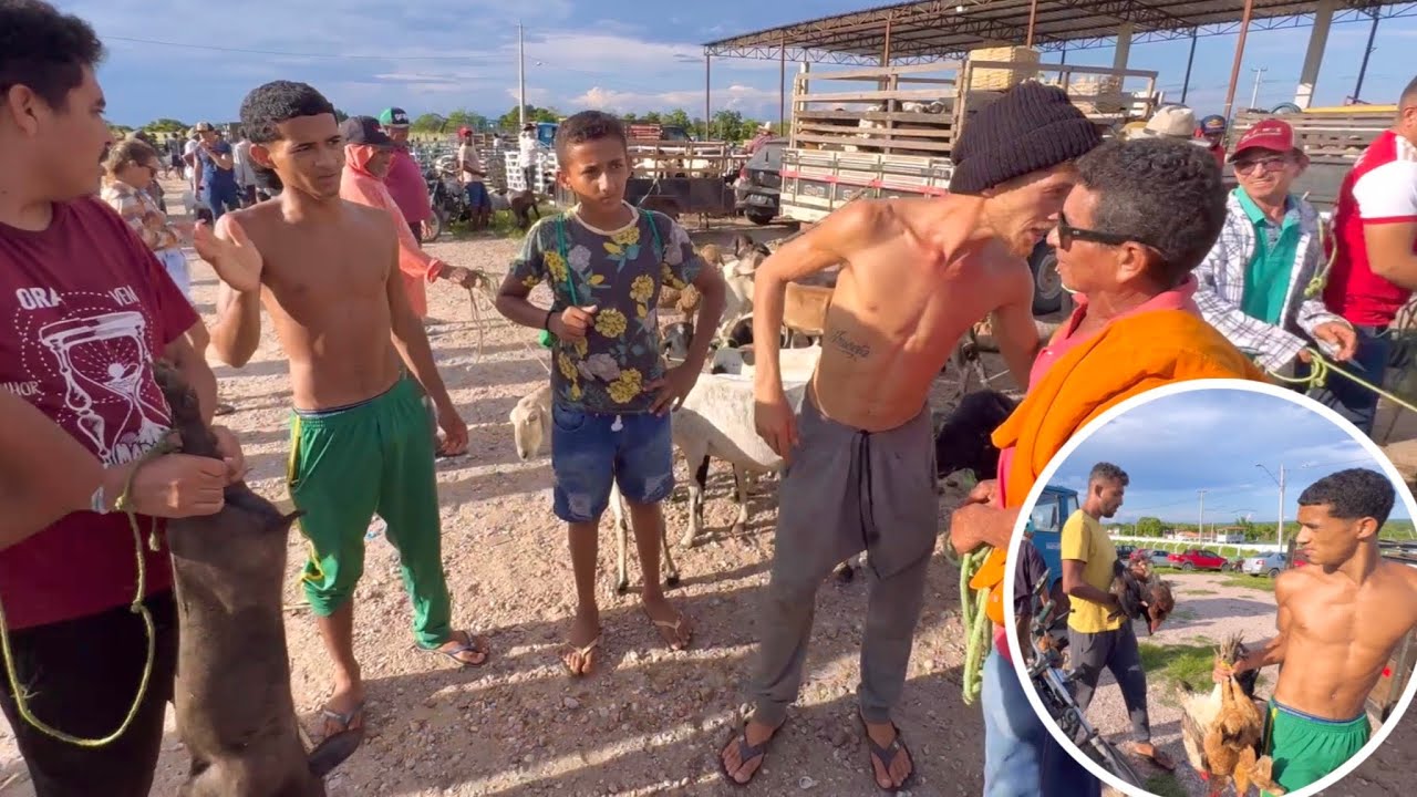 BRUTINHO ARRUMA CONFUSÃ0 NA FEIRA DOS BICHOS