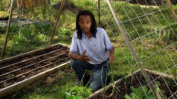 15 Things to Plant Before and After Your Last Frost Date! OKAY!