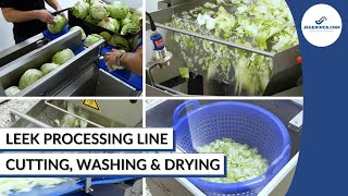 Leek Processing Line | Cutting, Washing & Drying Leek