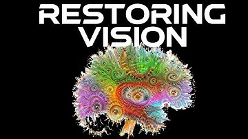 Restoring Vision for the Blind with a Brain Computer Interface (with live chat)