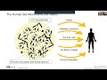 Science Talks Lecture 65: Chemical toxicology of human gut microbiota