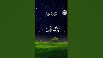 #قرآن #كريم #سورة_الاحزاب #أن_الله_وملائكتة_يصلون_على_النبي