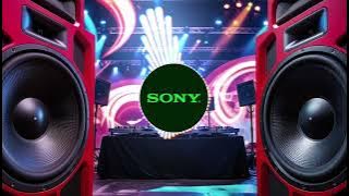 Professional Bass Sound Test – Sony Speaker Audio Check 2025
