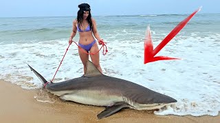 IT NEARLY PULLED HER IN! Holly's First Shark - Land Based Fishing - Tag & Release by Tony Gillahan 6,251 views 3 months ago 14 minutes, 52 seconds