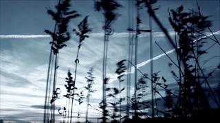 Unkle - In A Broken Dream