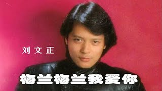 Video thumbnail of "刘文正《梅兰梅兰我爱你》，你像梅花年年绿，看到了梅兰就想到你"