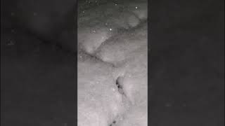 Diamond snow- Wyandotte, MI