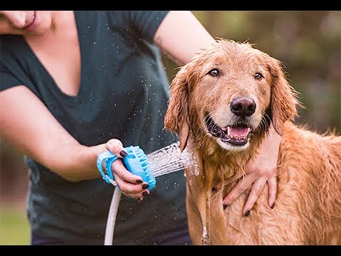 Dog Bath Brush Sprayer and Scrubber @