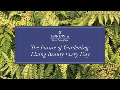 Vídeo: Garden Trends 2021 - Quais são as últimas modas de plantas