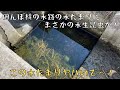 田んぼ横の水路の水たまりにまさかの水生昆虫が！準絶滅危惧種がなんでこんなところに！