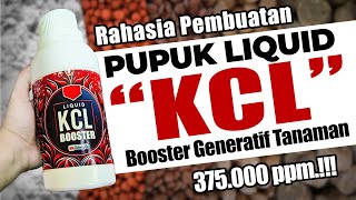 MENGUNGKAP RAHASIA MEMBUAT PUPUK LIQUID KCL FASE GENERATIF | Booster Tanaman Berbuah Lebat