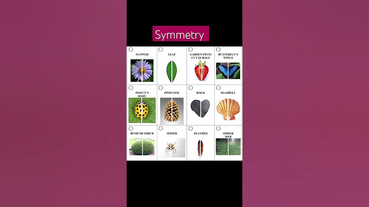 Free Nature Symmetry #reallifesymmetry #mathematics #symmetry #1k #lines #shorts #basic #concept