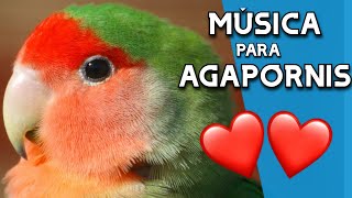 Relaxing MUSIC AGAPORNIS2021  Music for PARROTS and small BIRDS