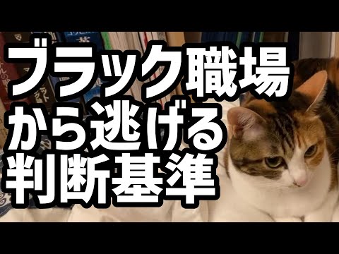 ブラック職場から逃げる判断基準【メンタリストDaiGo切り抜き】