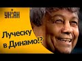 Как футбольное сообщество отреагировало на Луческу?