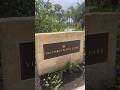 Day in Kakaʻako 🌺 New Shops, Parks & Condos by Ala Moana Beach