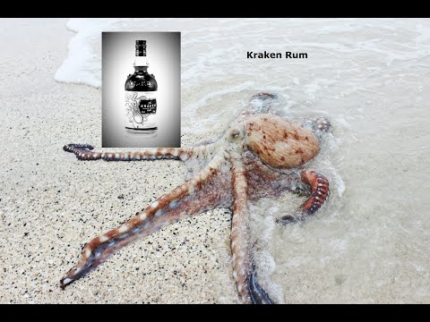 Ром - The Kraken Black Spiced Rum