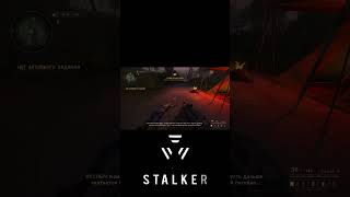 TRUE STALKER — #shorts