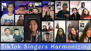 Harmony| TikTok Compilation 2020