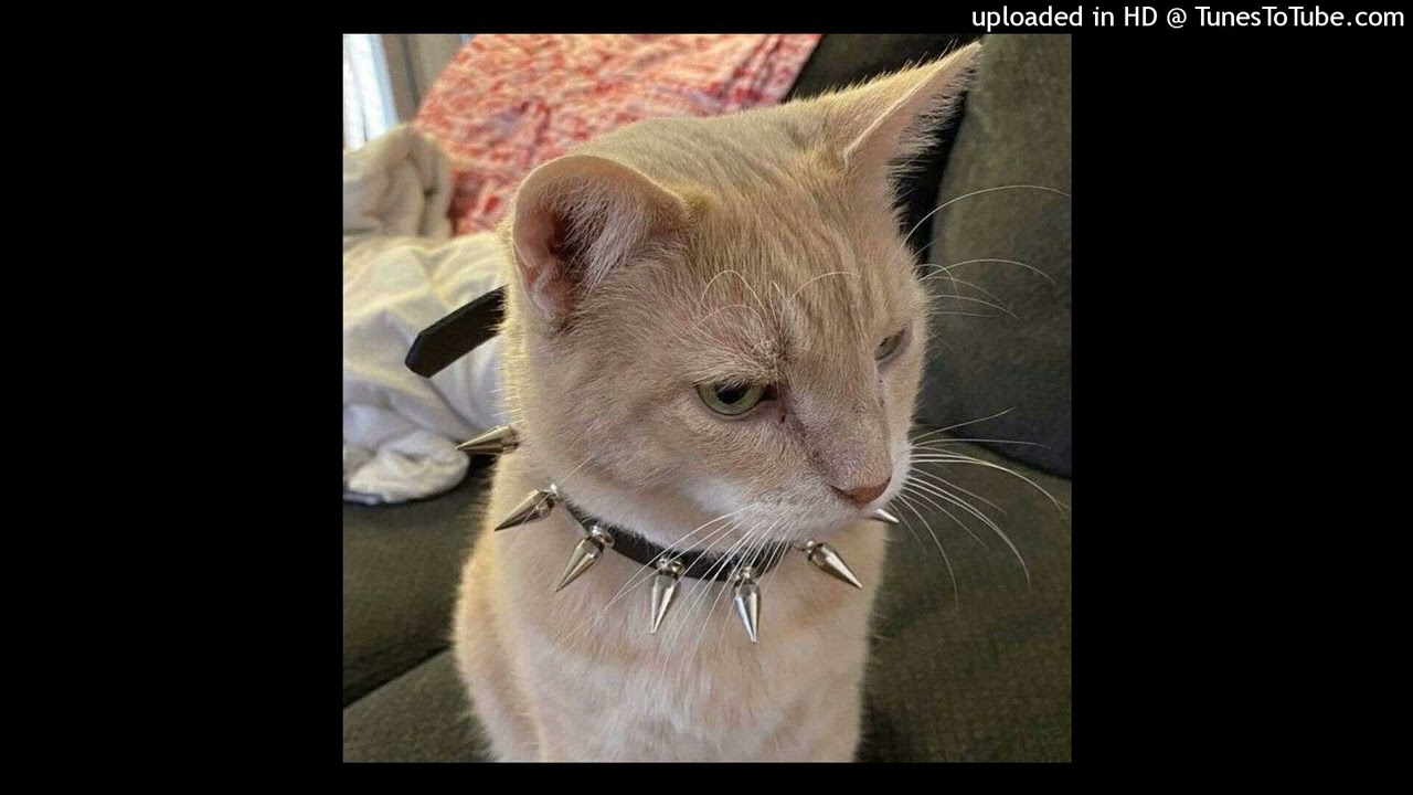 [FREE] rexv2 + osamason Type Beat - 