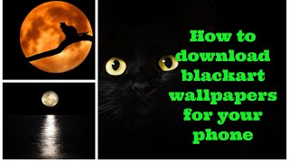 How to download superb black art wallpaper for your Android phone--SS Era screenshot 5