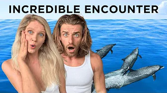 Dolphins & Whales in Samara, Costa Rica — Is It Worth the Hype?