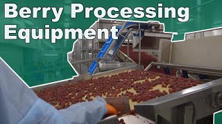 Andgar's 2018 Berry Processing Equipment Lines
