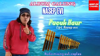 TERBARU. CALUNG  PUCUK HAUR  VOC NASEP EVI CIPT NASEP EVI. AUDIO MIX SULI CAPLES