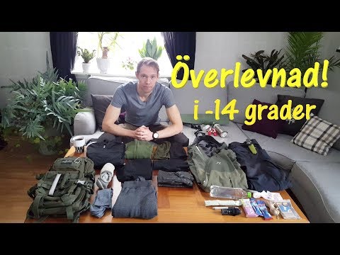 Video: Hur Man överlever I Skogen På Vintern