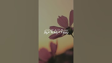سورة النور (٣٥) 🤍