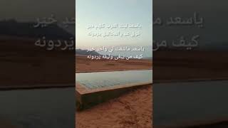 ياسعد ليت العرب كلهم دير