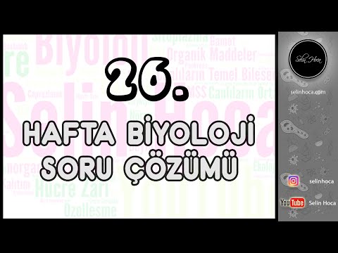 26. Hafta Biyoloji Soru Çözümü