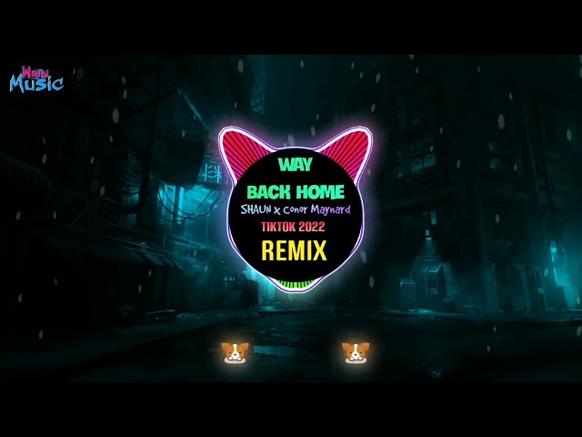 SHAUN - Way Back Home (Conor Maynard Remix Tiktok 2022 抖音) - waybackhome扭扭舞挑战 || Hot Tiktok Douyin class=