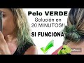 NO VAYAS AL SALÓN DE BELLEZA SI TIENES EL PELO VERDE!