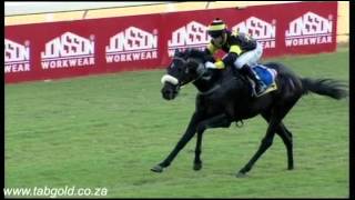 20160420 Greyville Race 5 won by SOUTH PAW