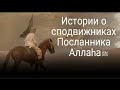 Истории о сподвижниках  Посланника Аллаха» (ﷺ) Умайр ибн Вахб