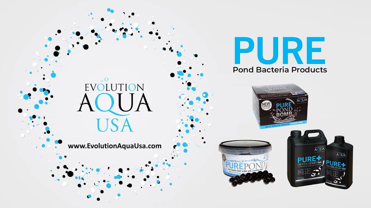 Evolution Aqua USA Pure Pond Bacteria YouTube